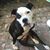 Ramon Ramos Jr's profile image