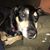 Denise Griggs Schneider's profile image