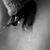 Zxinee Longford's profile image