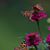 Barb Goranson's profile image