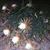 Peggy Elliott's profile image