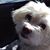 Samantha Gides's profile image