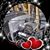 Carol Neff's profile image