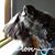 Kathleen Singer-Larkins's profile image