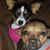 Ronda Morman's profile image