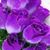 Beth Ophus Narske's profile image