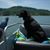 Mindy McDaniel's profile image