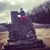 Leeann Adkins Bell's profile image