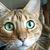 Robert A Arvidson Jr's profile image