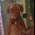Scott DaMan's profile image