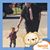 Steven DiStefano Jr.'s profile image