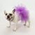 Frenchie Couture / Pour Mon Amour's profile image