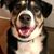 Jeffrey Sugalski's profile image