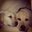Nancy Zeiger's profile image