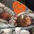 Skyla Knudson's profile image