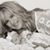 Lisa Hanrahan's profile image