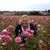 Diana Craig DeMarti's profile image