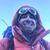 Brian Muller's profile image