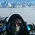 Daniel Richardson's profile image