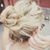 Shawna Cook Cox's profile image