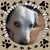 Maiya Farnsworth's profile image