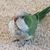 Chantle Uthe's profile image