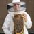 Willow Glen Honey's profile image