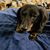 Kathi Huenecke's profile image