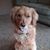 Judy Dober's profile image