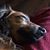 Jim McSweeney's profile image
