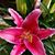 Brenda Carlson's profile image