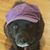 Lisa Niner Hanna's profile image