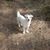 Jennifer Whitney Ames's profile image