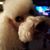 Donna Spencer's profile image