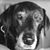 Jason Kinsley's profile image