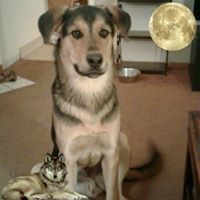 Laura Burton's profile image