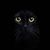 Keith Gooch's profile image