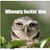 Brian Evans Sr.'s profile image