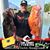 Jeff Dougherty's profile image