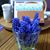 Dawn Kagey's profile image