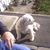 Richard Southam's profile image