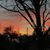 Lori Ann Koncz's profile image