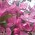 Lynn Rossney's profile image