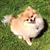 Vanessa Raposa's profile image