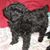 Rhonda Goad Kannady's profile image