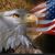 Scott Wolschlager's profile image
