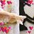 Bettina Seifts's profile image