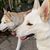 Tanya Blanco-Donis's profile image