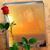 Donna Kingery's profile image