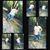 Miaa Miaa's profile image